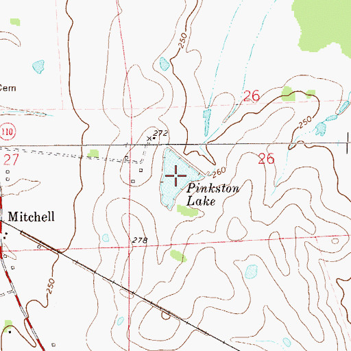 Topographic Map of Pinkston Lake, AL