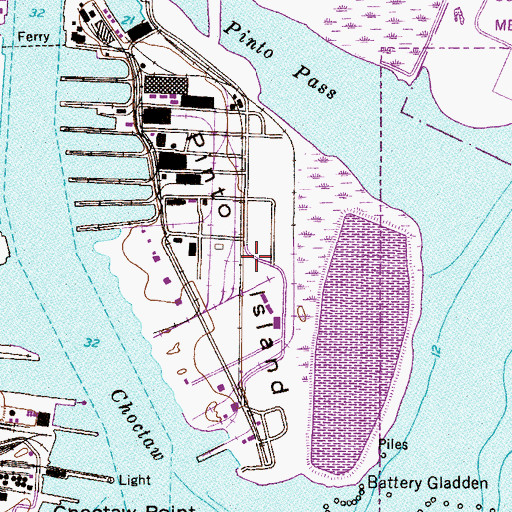 Topographic Map of Pinto Island, AL