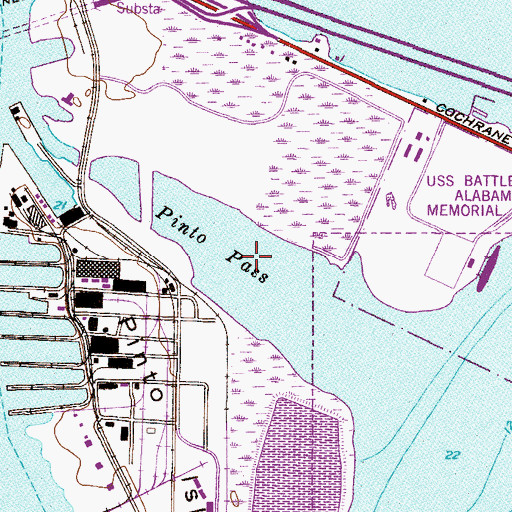 Topographic Map of Pinto Pass, AL