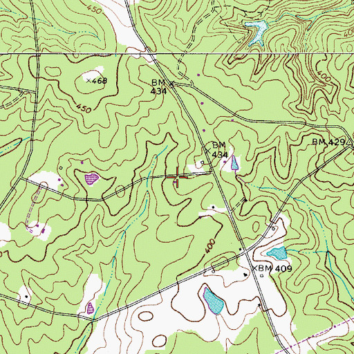 Topographic Map of Flat Branch School (historical), SC
