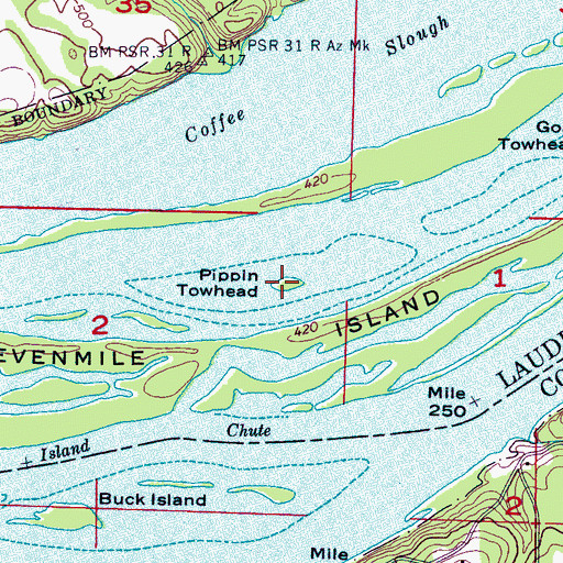 Topographic Map of Pippin Towhead, AL