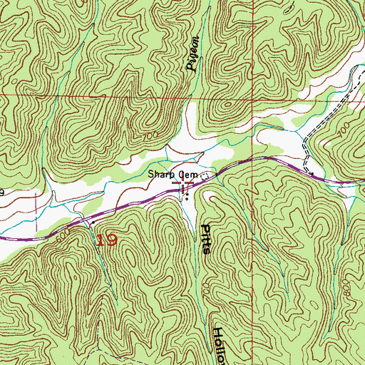 Topographic Map of Pitts Hollow, AL