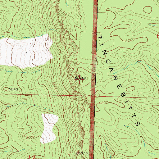 Topographic Map of Tincanebitts Point, AZ