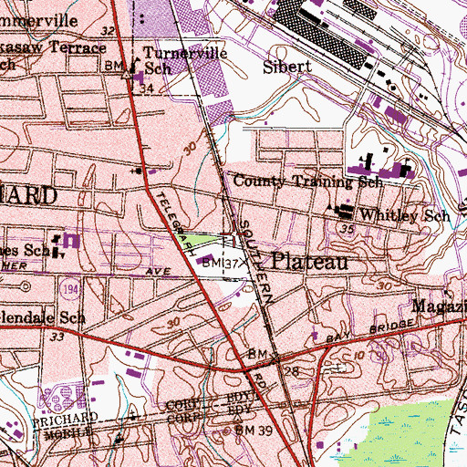 Topographic Map of Plateau, AL