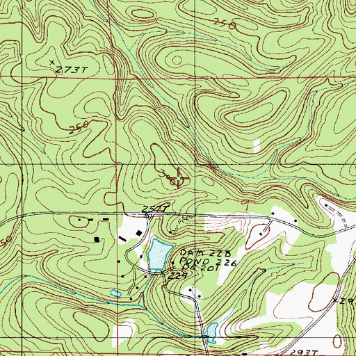 Topographic Map of Pleasant Church, AL