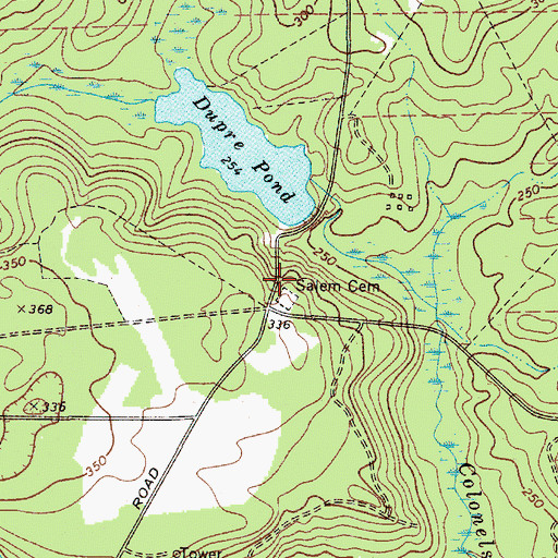 Topographic Map of Salem Church (historical), SC