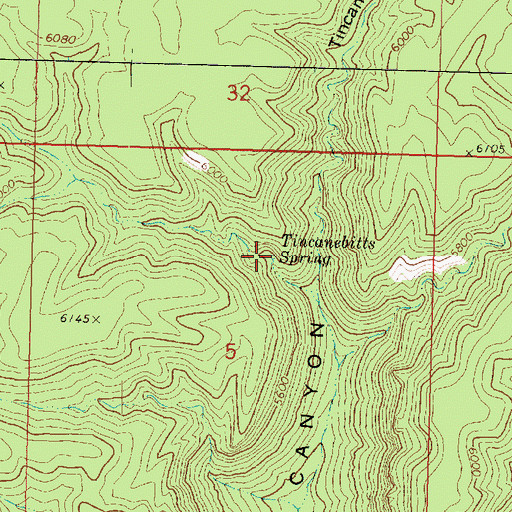 Topographic Map of Tincanebitts Spring, AZ