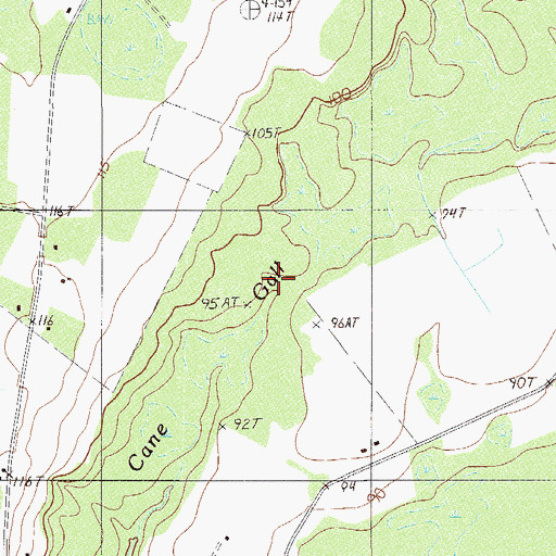 Topographic Map of Cane Gall, SC