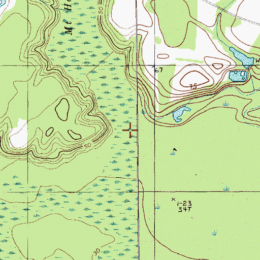 Topographic Map of Mount Hope Swamp, SC