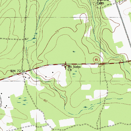 Topographic Map of Mount Nebo Church, SC