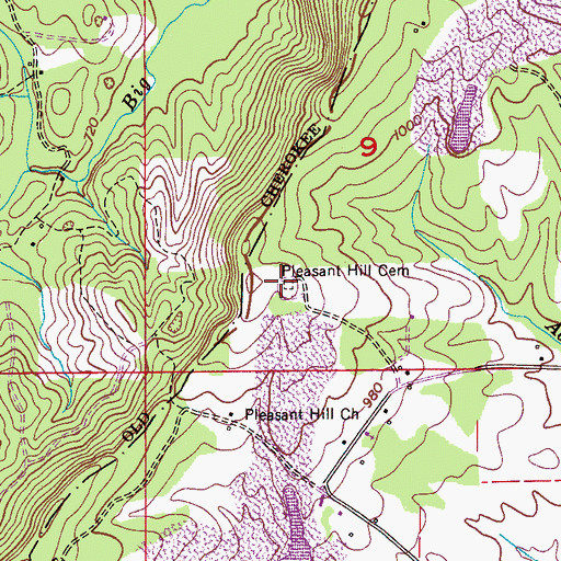 Topographic Map of Pleasant Hill Cemetery, AL