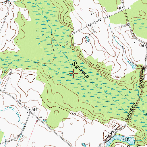 Topographic Map of Newman Swamp, SC
