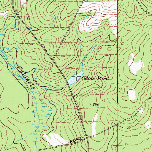 Topographic Map of Odom Pond, SC