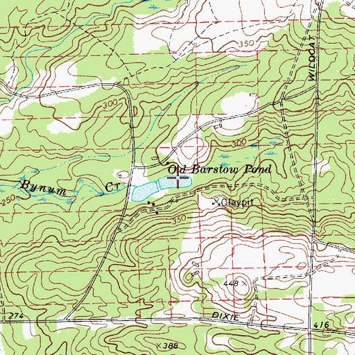 Topographic Map of Old Barstow Pond, SC