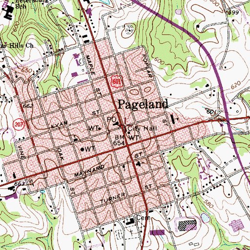 Topographic Map of Pageland, SC