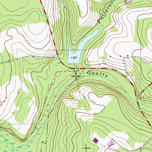 Topographic Map of Patterson Branch, SC