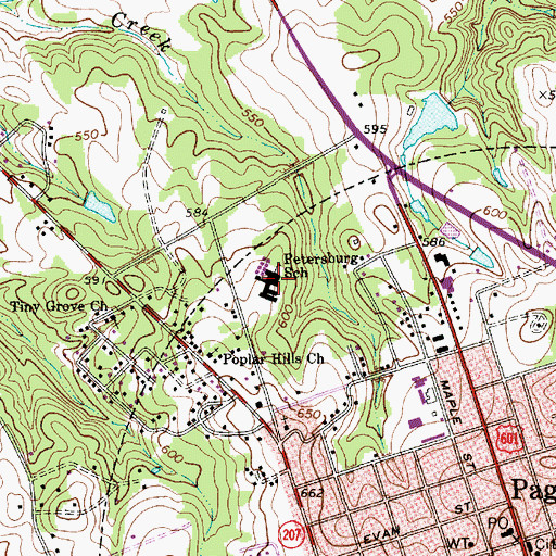 Topographic Map of Petersburg School, SC