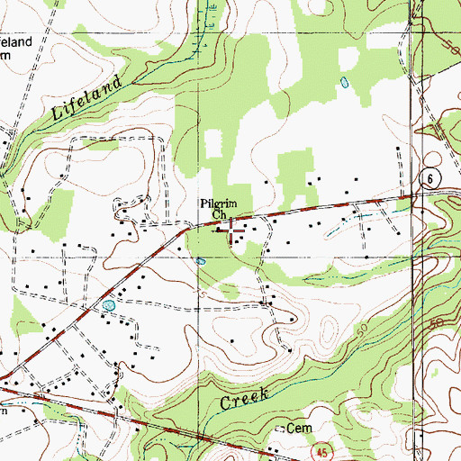 Topographic Map of Pilgrim Church, SC