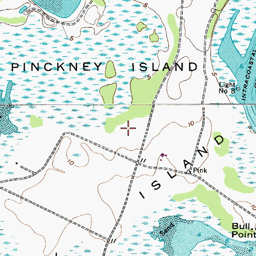 Topographic Map of Pinckney Island, SC