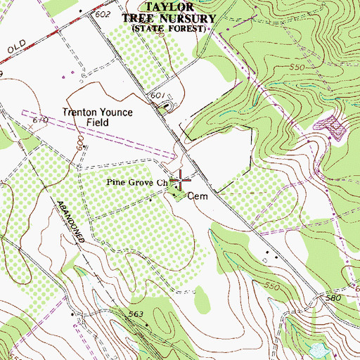 Topographic Map of Pine Grove Church, SC