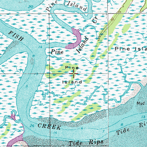 Topographic Map of Pine Island, SC