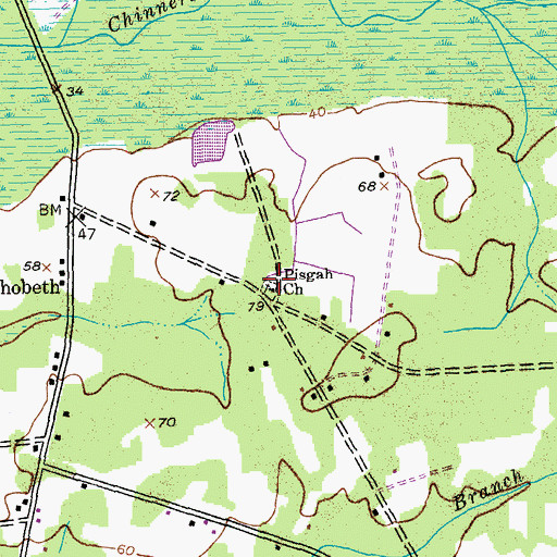 Topographic Map of Pisgah Church, SC