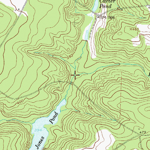 Topographic Map of Pitman Branch, SC
