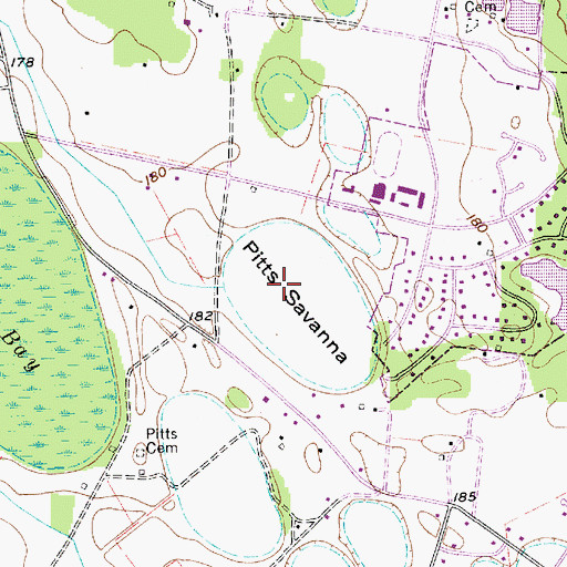 Topographic Map of Pitts Savanna, SC