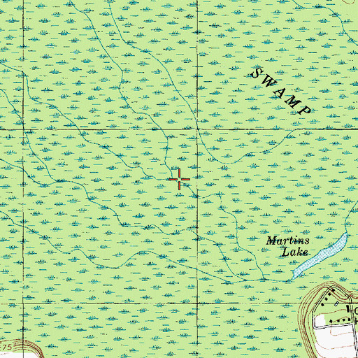 Topographic Map of Pocotaligo River, SC