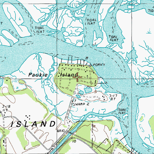 Topographic Map of Porky Island, SC