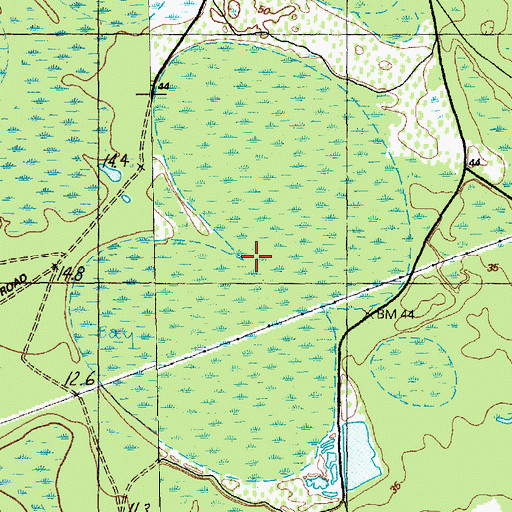 Topographic Map of Prices Swamp, SC