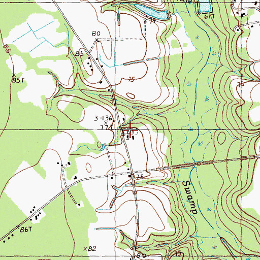 Topographic Map of Prospect Church, SC