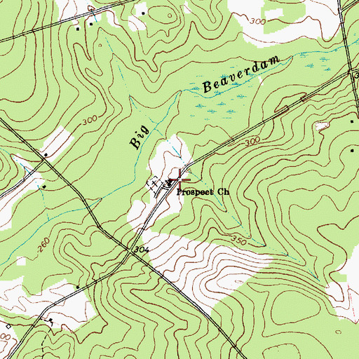 Topographic Map of Prospect Church, SC