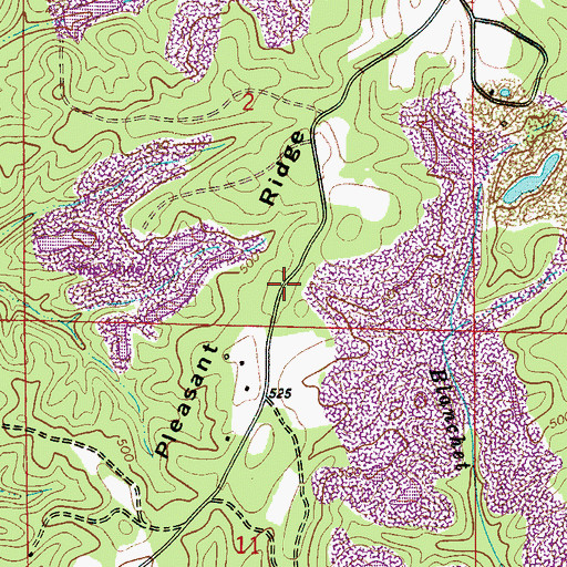 Topographic Map of Pleasant Ridge, AL