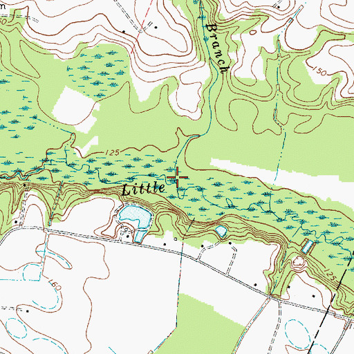 Topographic Map of Reedy Branch, SC