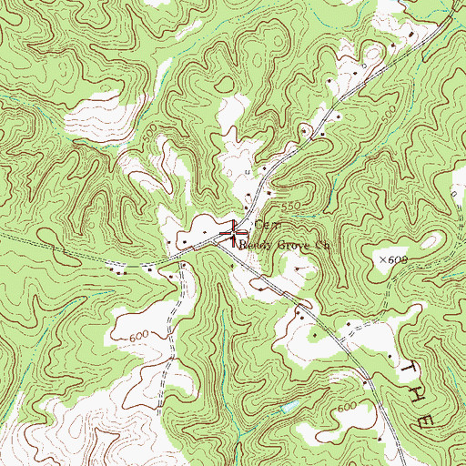 Topographic Map of Reedy Grove Church, SC