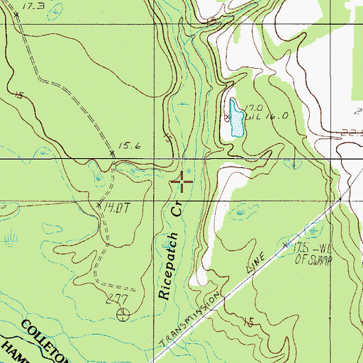 Topographic Map of Ricepatch Creek, SC