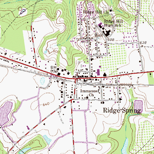 Topographic Map of Ridge Spring, SC