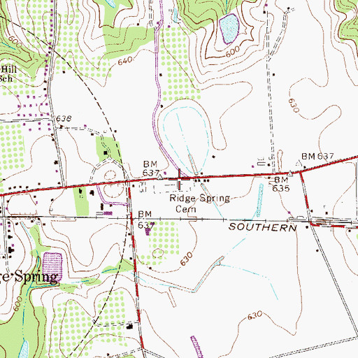 Topographic Map of Ridge Springs Cemetery, SC