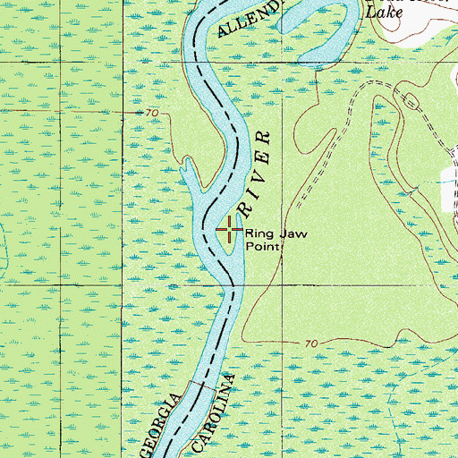 Topographic Map of Ring Jaw Point, SC