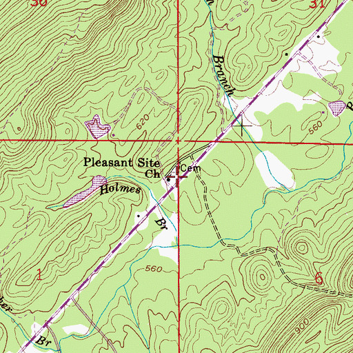 Topographic Map of Pleasant Site Church, AL