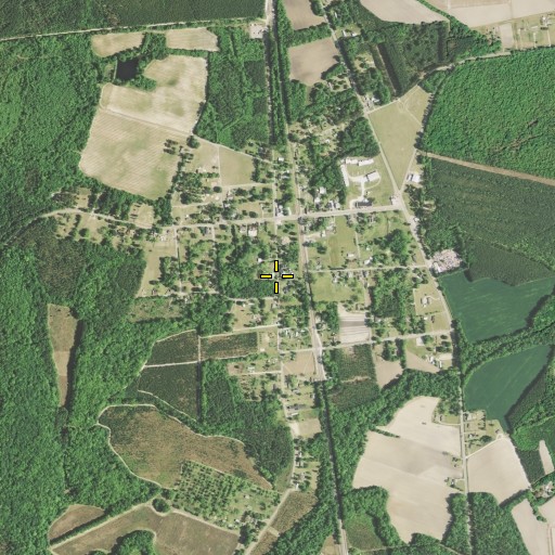Aerial/Satellite Image of Rowesville, SC
