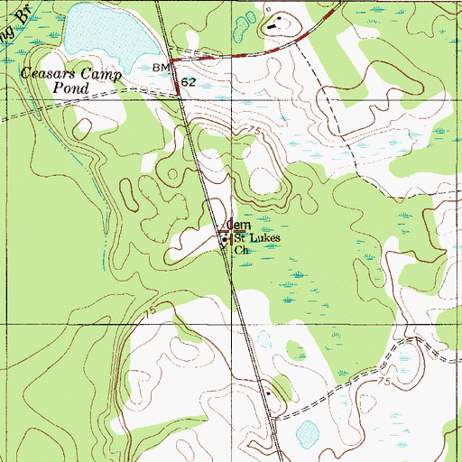 Topographic Map of Saint Lukes Church, SC