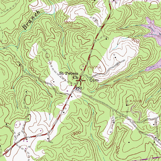 Topographic Map of Saint Peters Church, SC