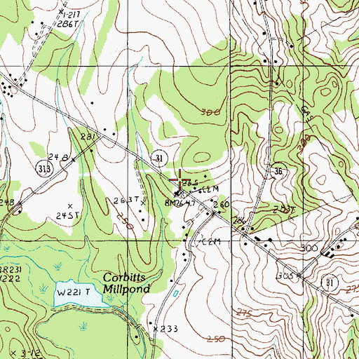 Topographic Map of Saints Church, SC