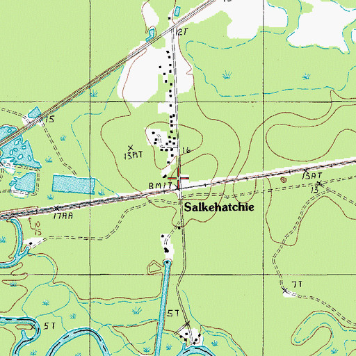 Topographic Map of Salkehatchie, SC