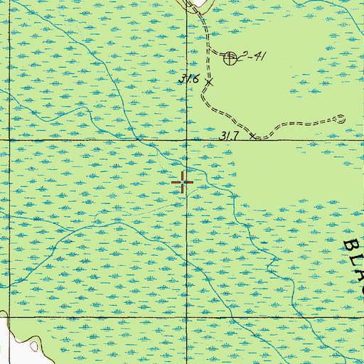 Topographic Map of Scape Ore Swamp, SC