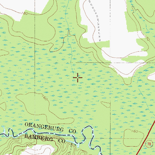 Topographic Map of Scratchnose Swamp, SC
