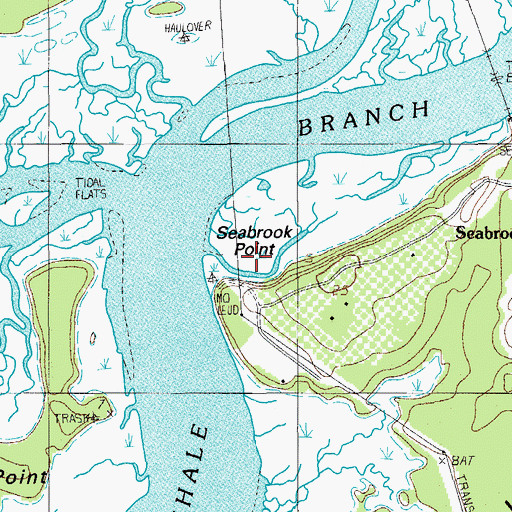 Topographic Map of Seabrook Point, SC