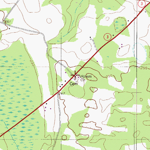 Topographic Map of Siloam Church, SC